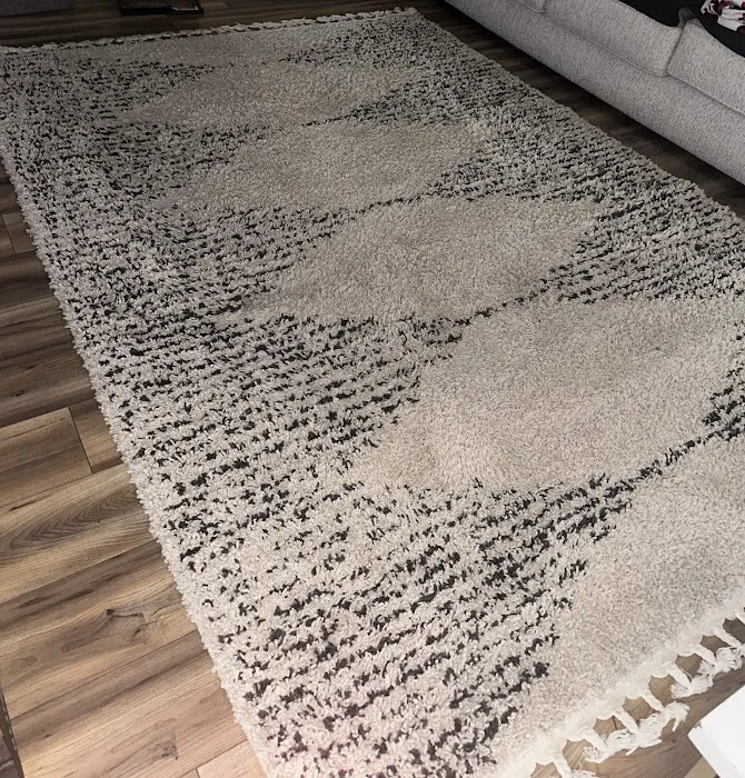 Safe-Dry Carpet Cleaning of Franklin Picture 8