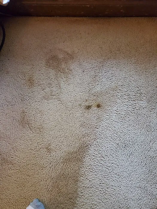 Safe-Dry Carpet Cleaning of Franklin Picture 9