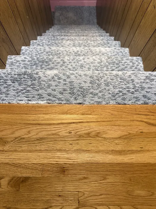 Safe-Dry Carpet Cleaning of Franklin Picture 7