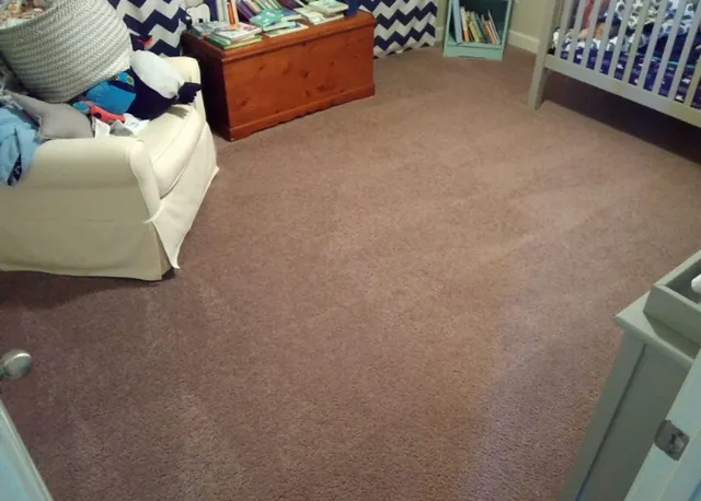 Safe-Dry Carpet Cleaning of Spring Hill Picture 1