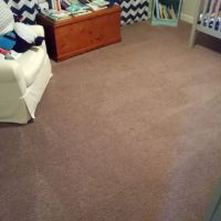 Safe-Dry Carpet Cleaning of Spring Hill ico