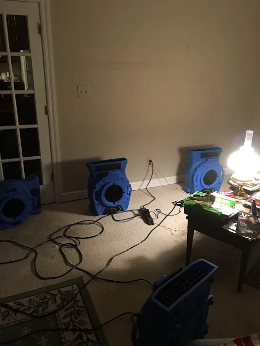 Bamaclean Carpet Tile Picture 2