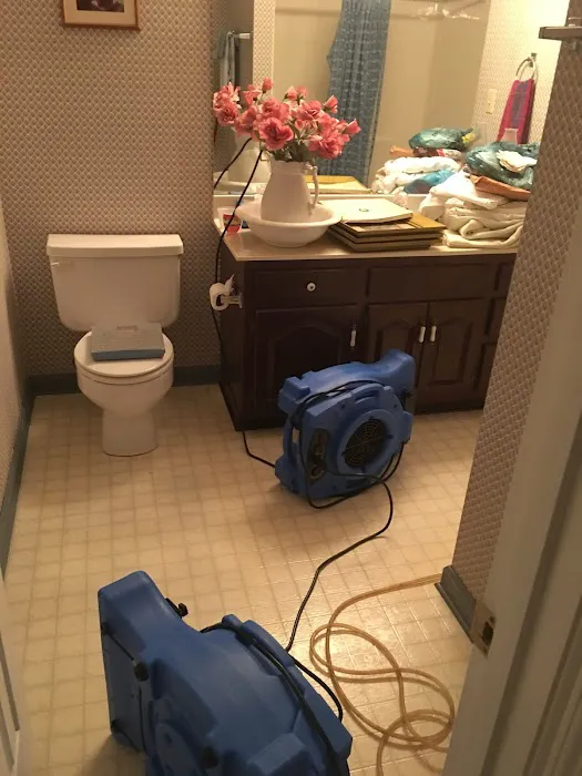 Bamaclean Carpet Tile Picture 5