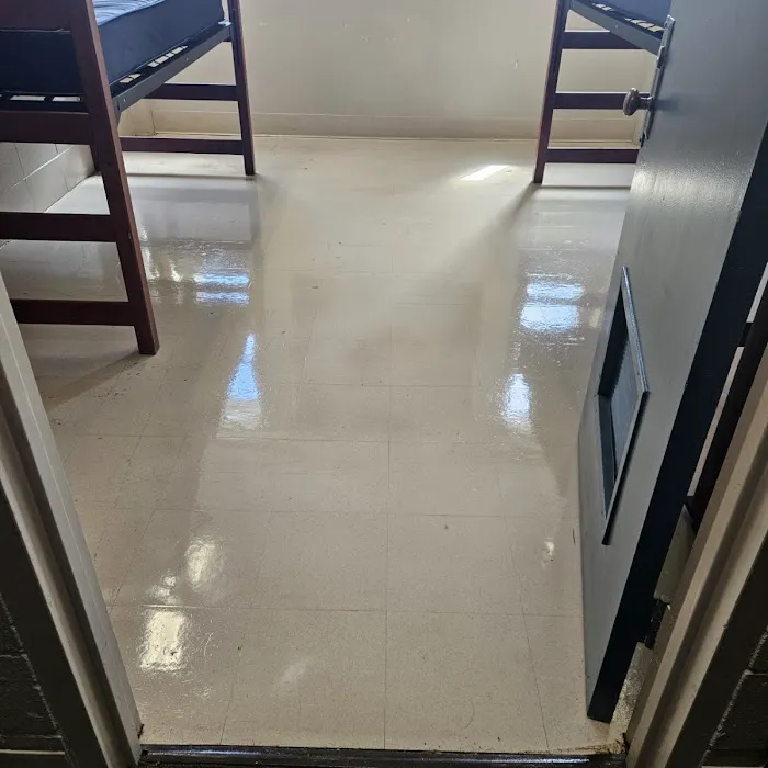 Bamaclean Carpet Tile Picture 6