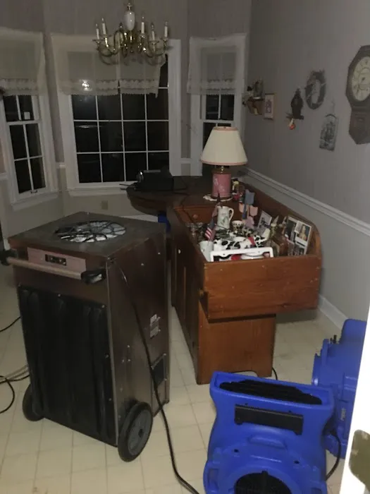 Bamaclean Carpet Tile Picture 8