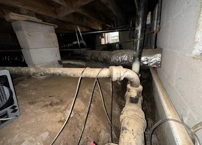 Rapid Restoration & Repair Picture 2