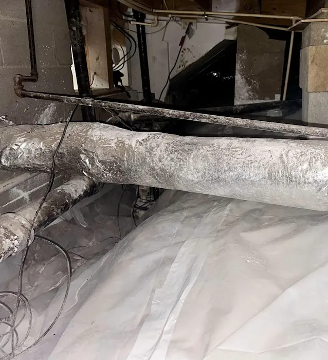 Rapid Restoration & Repair Picture 3