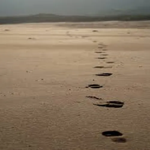 Matt's Painting & Drywall Picture 7