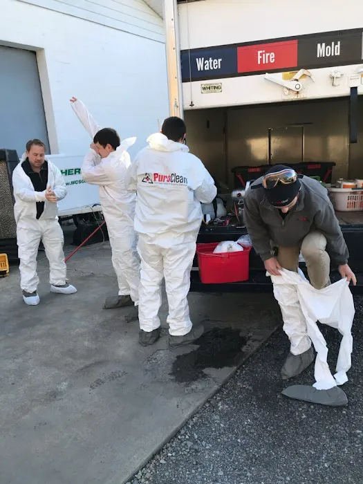 PuroClean of Tri-Cities Picture 10