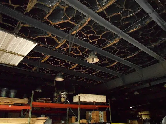 SERVPRO of Greene County Picture 6