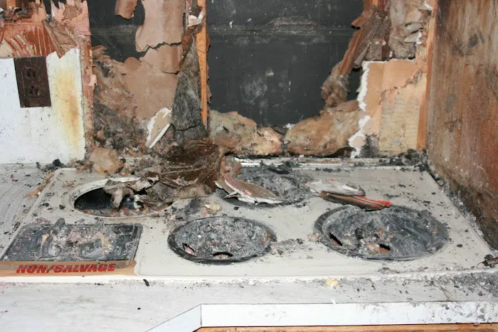 Rainbow International of Tri-Cities, TN Picture 1