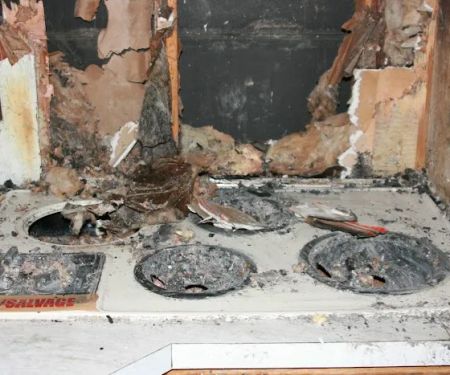 Rainbow International of Tri-Cities, TN