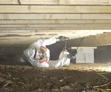 All Dry Services of East Tennessee