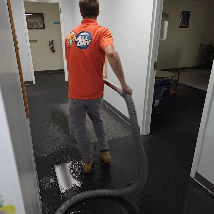 All Dry Services of East Tennessee Picture 7