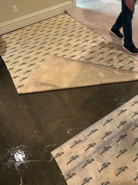 Foothills Cleaning & Restoration Picture 8