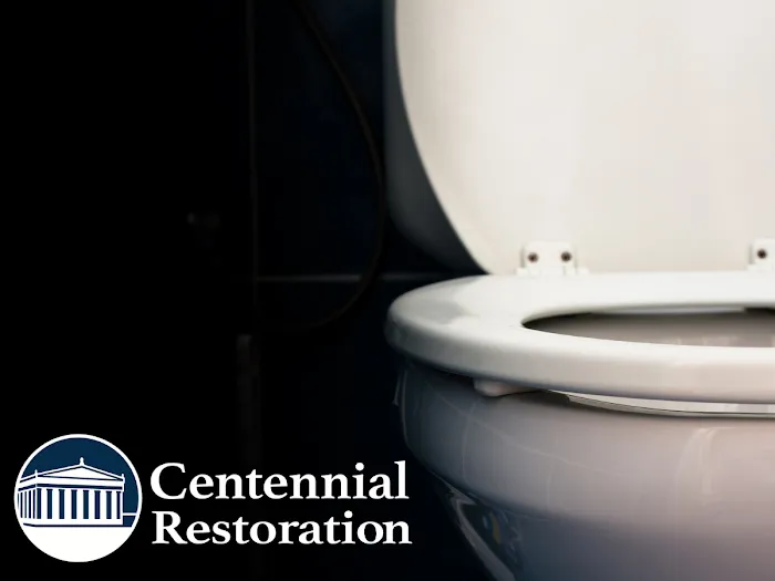 Centennial Restoration Picture 6