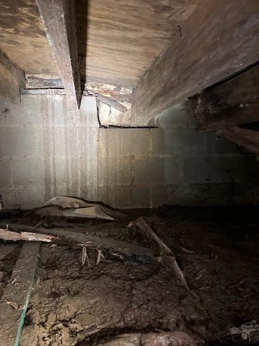 Crawlspace Medic of Nashville Picture 9