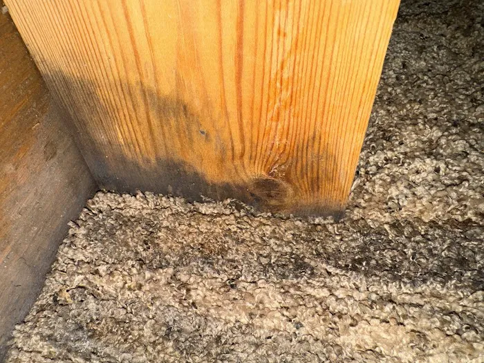 Restoration XP LLC Picture 6