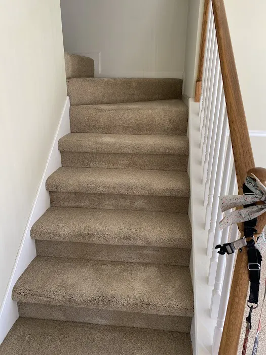 Stanley Steemer Picture 3