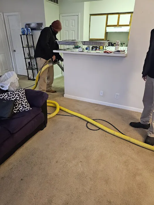 Stanley Steemer Picture 7