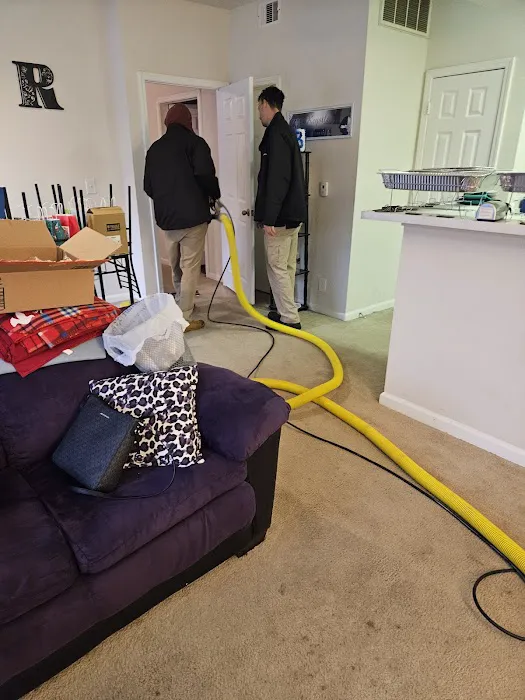 Stanley Steemer Picture 4