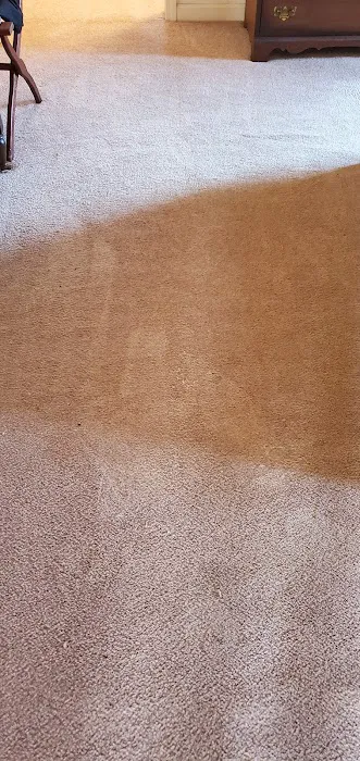 Stanley Steemer Picture 9