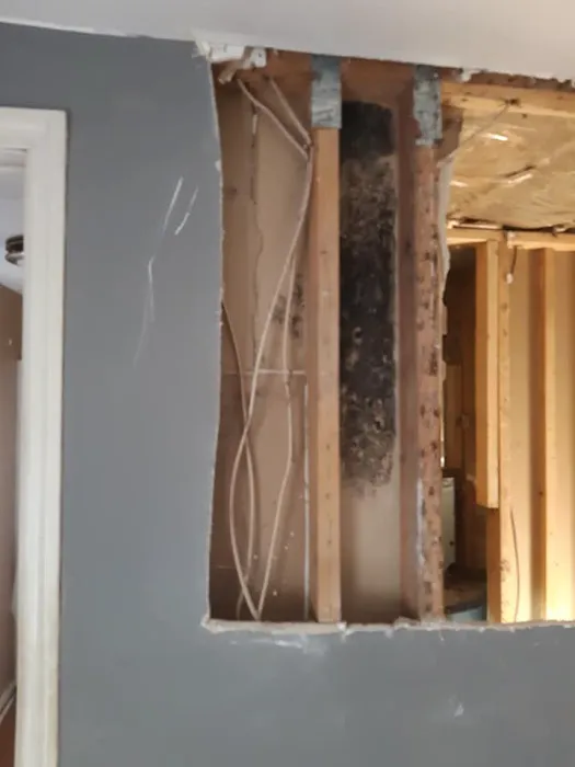 PuroClean Picture 10