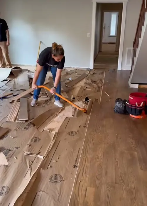 ServiceMaster Restore by David Picture 4