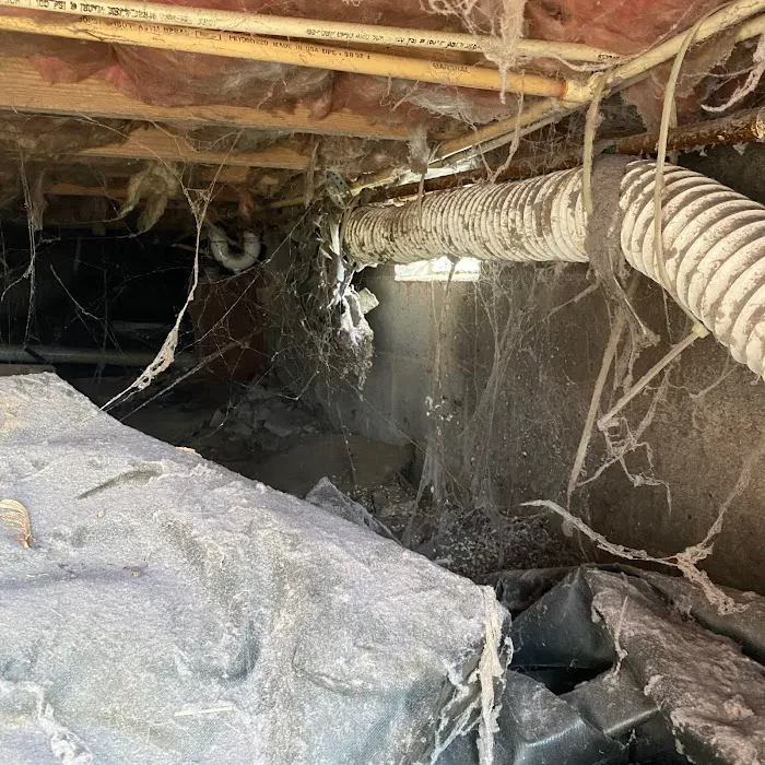 ServiceMaster Restore by David Picture 8