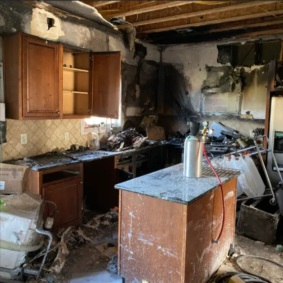 ServiceMaster Restore by David Picture 9