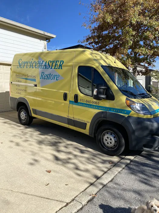 ServiceMaster Restore by David Picture 6