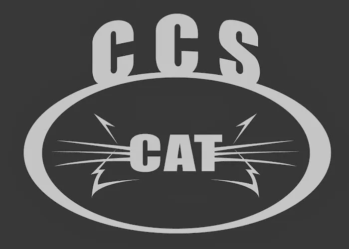 CCS CAT Picture 4