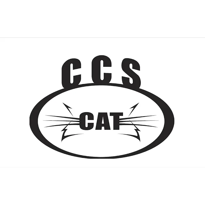 CCS CAT Picture 5