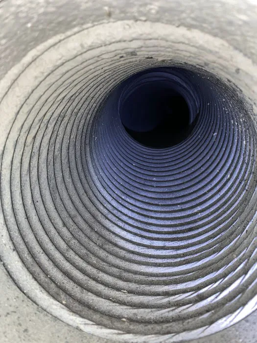 Carlos & The Mold Team Picture 1