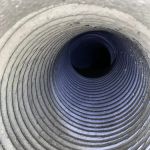 Carlos & The Mold Team