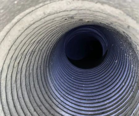 Carlos & The Mold Team