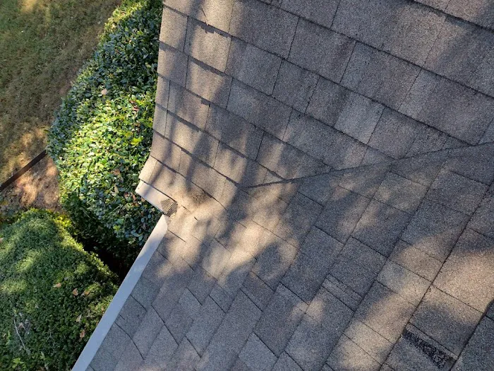 Carlos & The Mold Team Picture 3