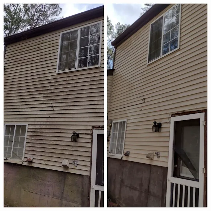 Carlos & The Mold Team Picture 6