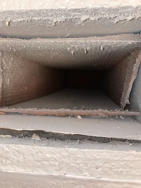 Carlos & The Mold Team Picture 4