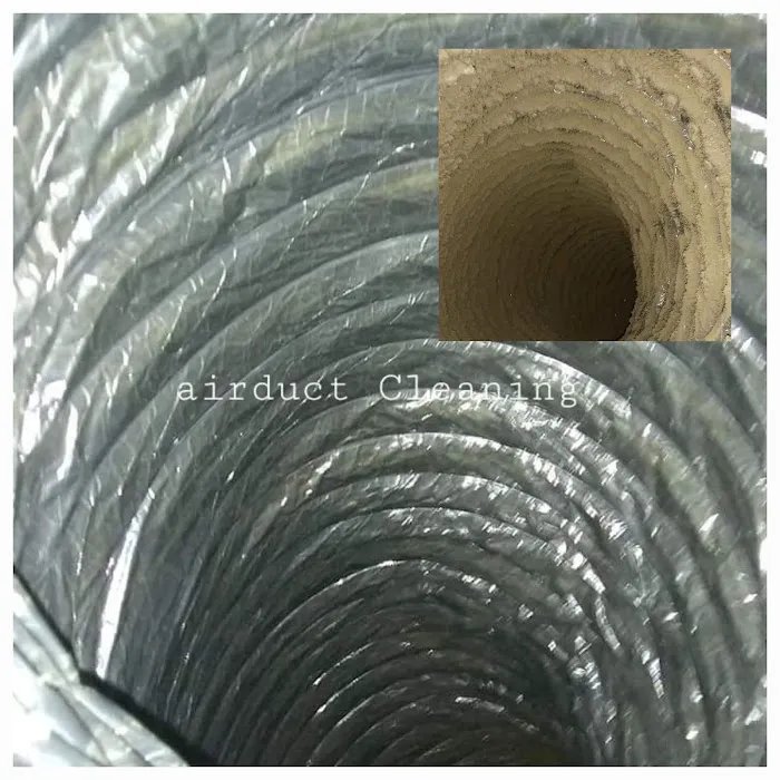 Carlos & The Mold Team Picture 7