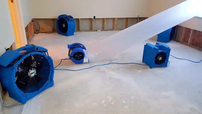 Carlos & The Mold Team Picture 10