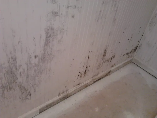 Breathe Easy Mold Remediation – Nashville TN Picture 3