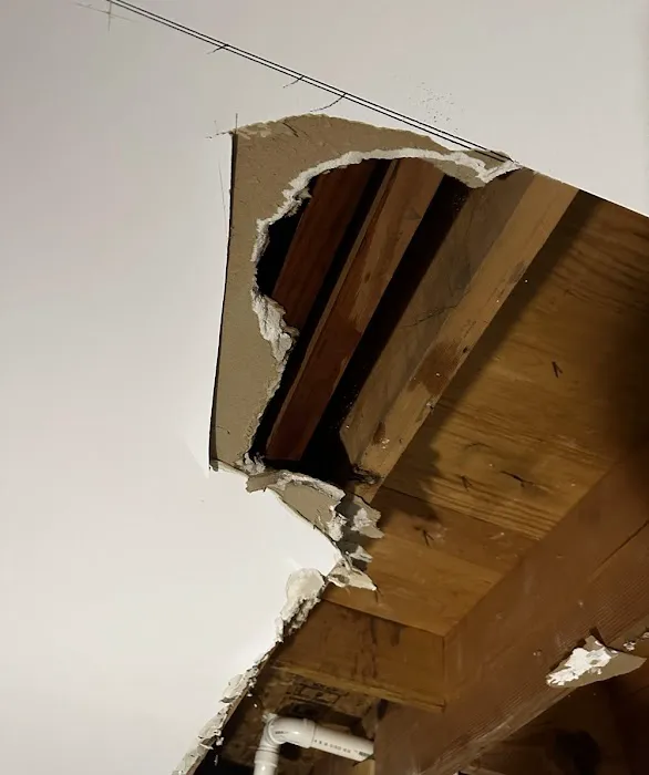 Lightspeed Restoration of West Nashville Picture 10