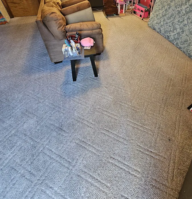 Stanley Steemer Picture 3