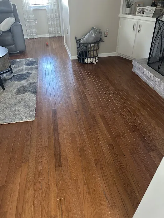 Stanley Steemer Picture 4