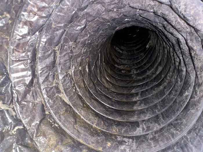 Stanley Steemer Picture 1