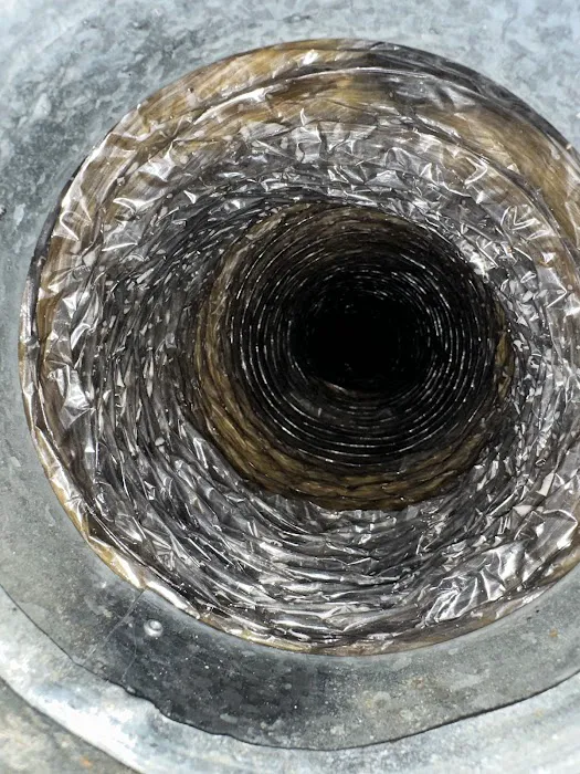 Stanley Steemer Picture 8