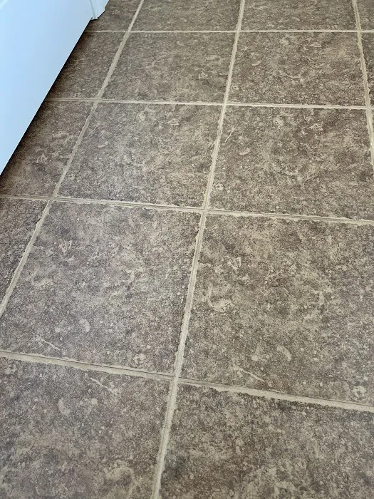 Stanley Steemer Picture 9