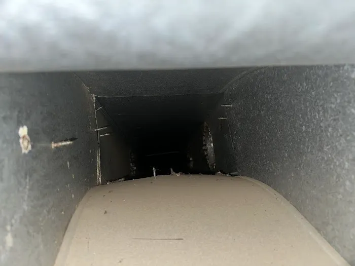 Stanley Steemer Picture 10