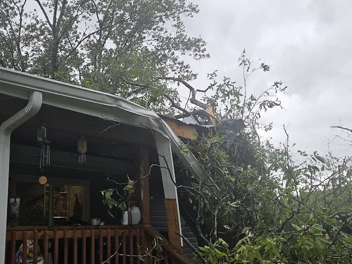 Dryforce Resoration Picture 5